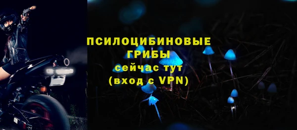 прущая мука Надым