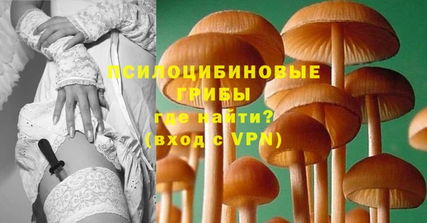 дмт Михайлов