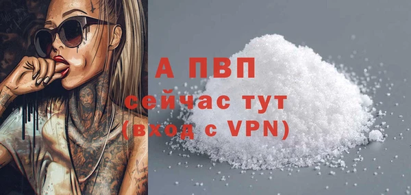 прущие крисы Михайловск