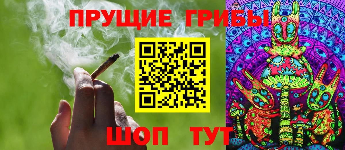 Псилоцибиновые грибы Cubensis Мончегорск