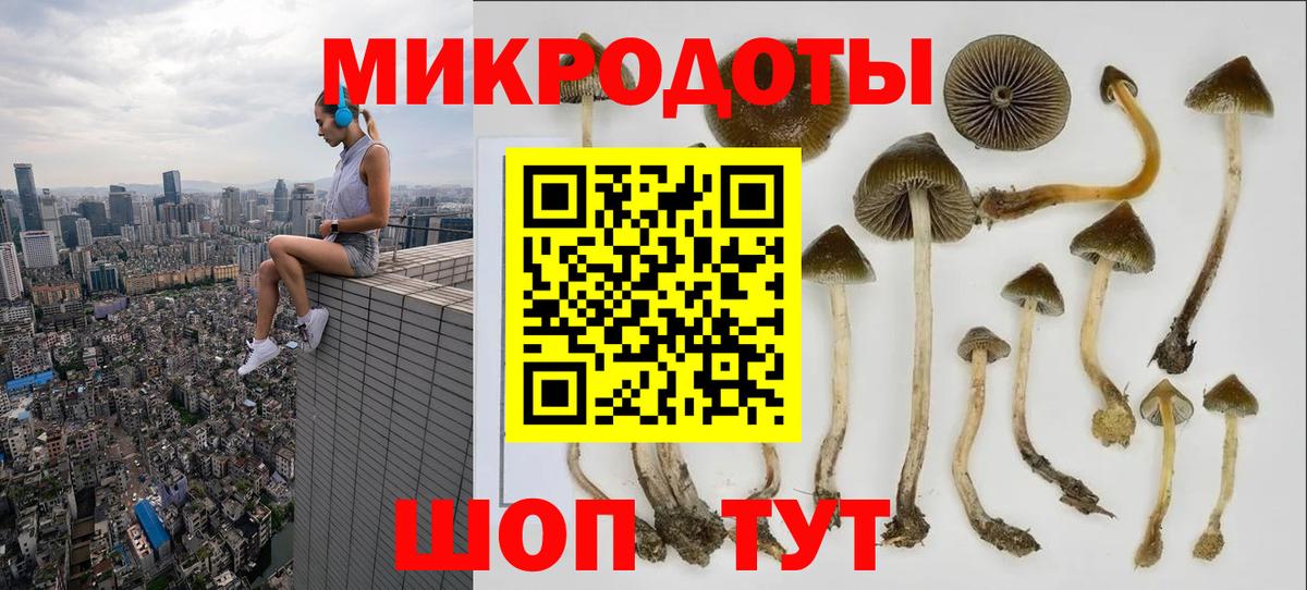 Псилоцибиновые грибы мухоморы  закладка  Псилоцибиновые грибы GOLDEN TEACHER  Мончегорск  Вход с VPN 
